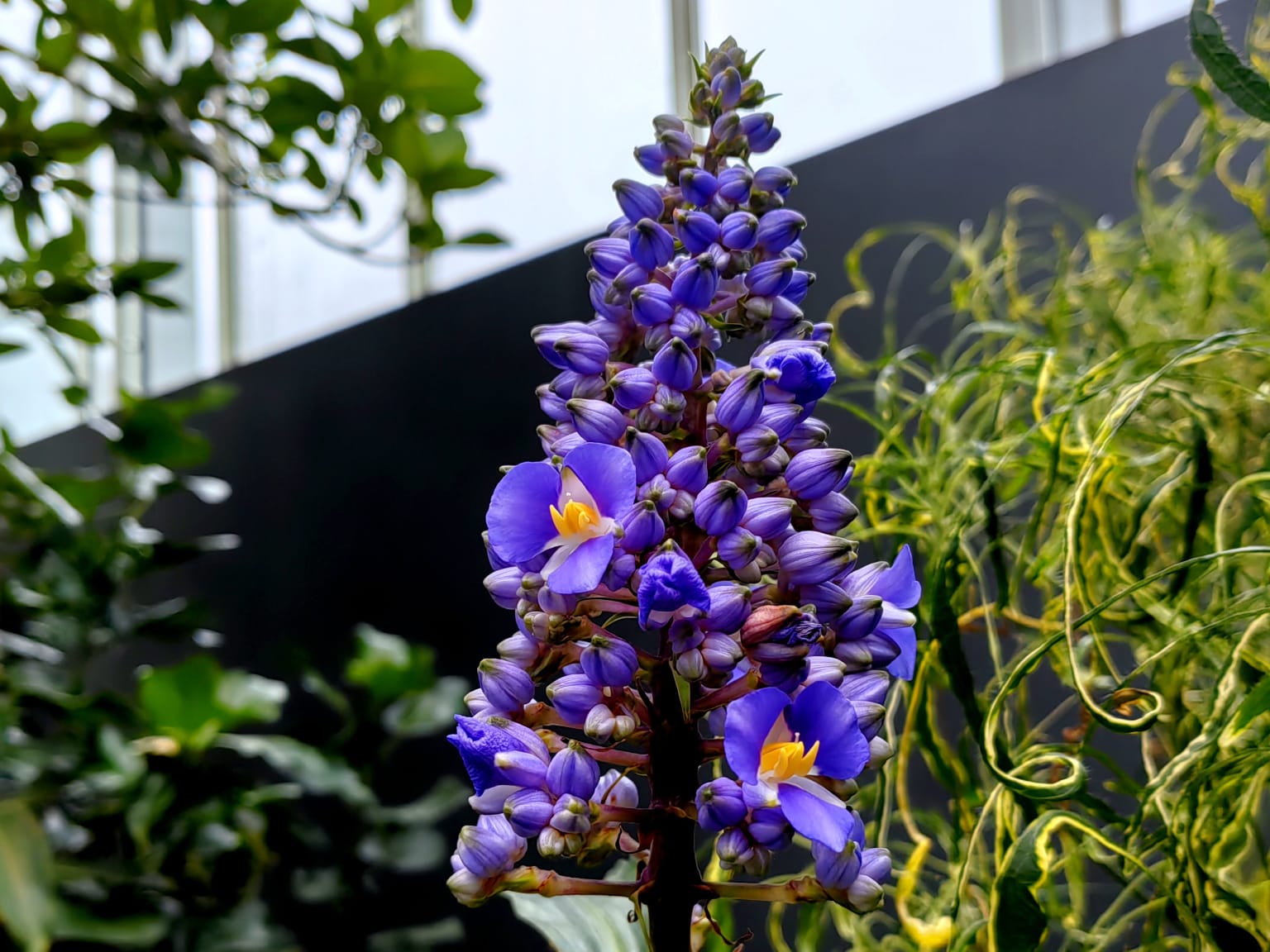 Botanic Garden
