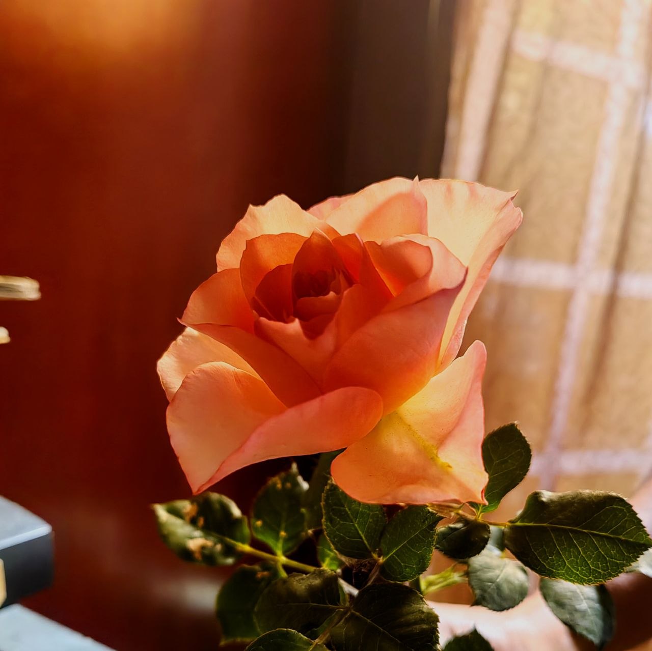 Mom Flower