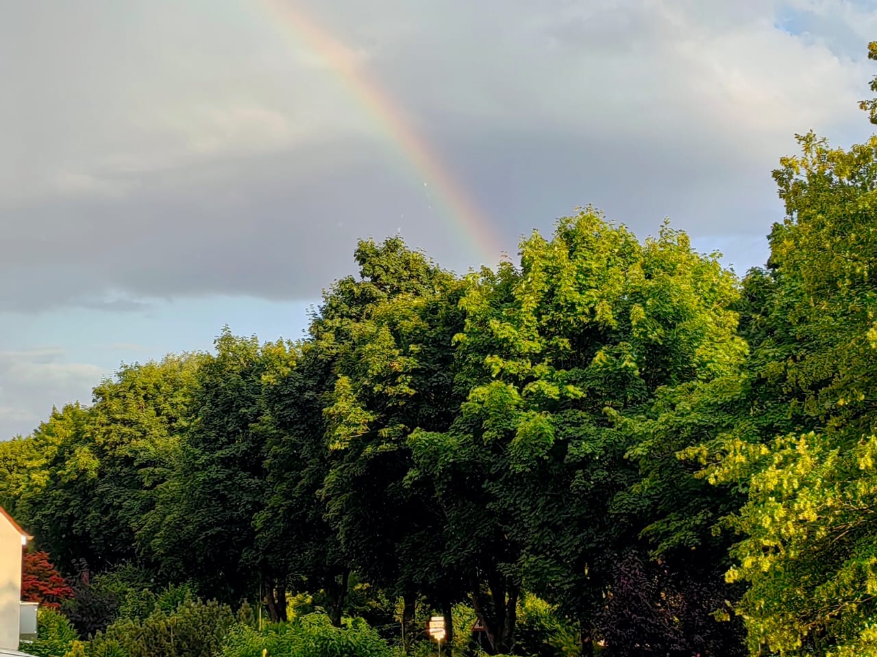 Regenbogen